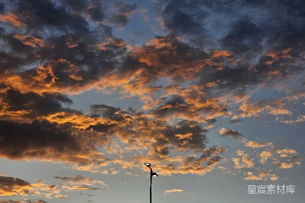 高清摄影 街灯矗立在阴云密布的夜空下