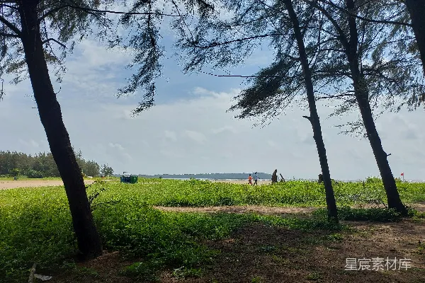 高清摄影 一群人在田地里行走