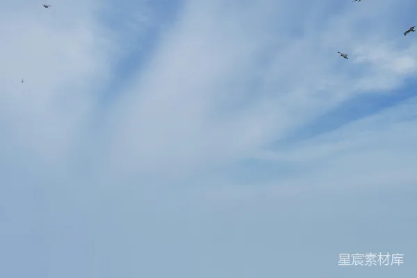 高清摄影 一群鸟在一片云层间飞过蔚蓝的天空