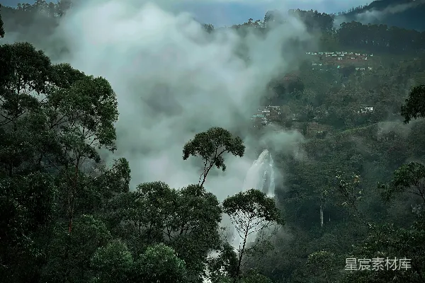高清摄影 一片森林里绿树成荫，天空中有许多云朵。