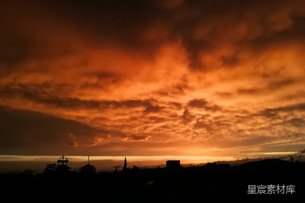 高清摄影 夕阳下云层间的树影轮廓