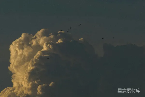 高清摄影 一群鸟在云层间的天空中飞翔