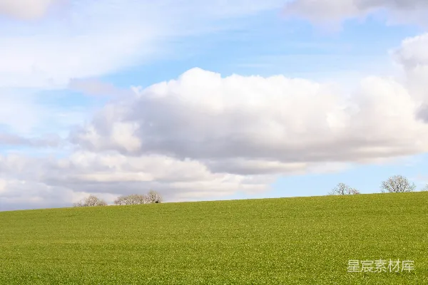 高清摄影 背景中有树和云的绿色田野