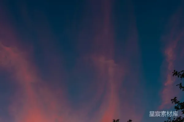 高清摄影 一棵树的轮廓映衬在粉紫色的天空中