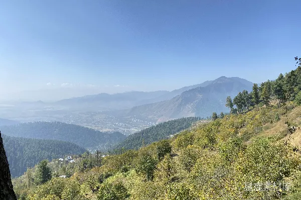 高清摄影 有树有山的风景图