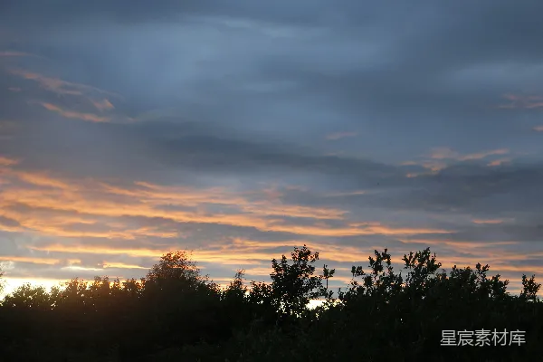 高清摄影 夕阳下的暗树间云彩