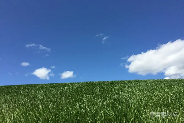 高清摄影 一片草地在蓝天之下