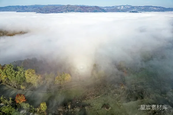高清摄影 一个有树木和山峦在背景中的雾气笼罩的小山谷