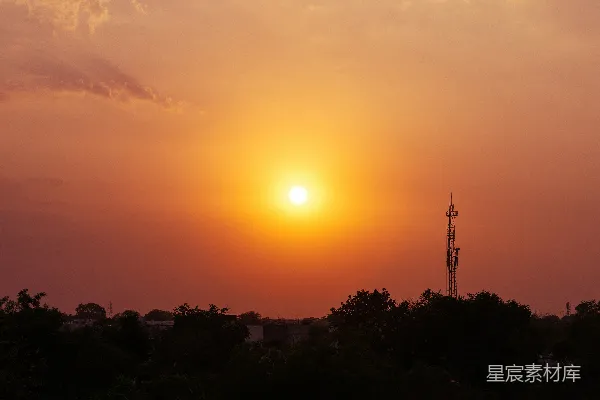 高清摄影 夕阳下的树影轮廓