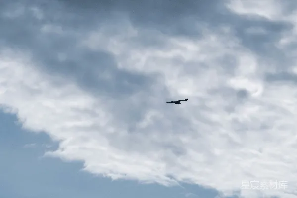 高清摄影 空中飞行的飞机背景为一片云层