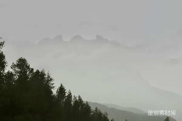 高清摄影 迷蒙的山峦背后是暗淡的松林森林