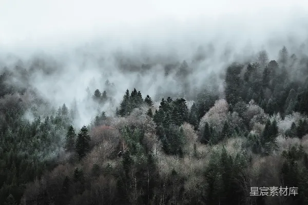 高清摄影 山间雾气缭绕，前景有房屋。