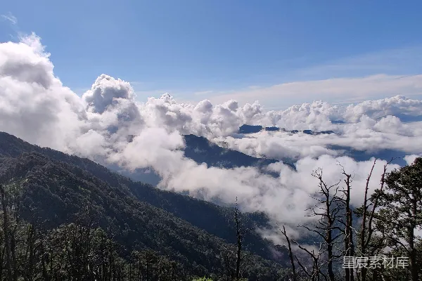 高清摄影 山中绿树下白云蓝天间白天景色