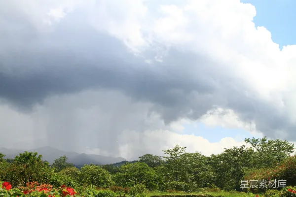 高清摄影 浓重的雨云聚集在一片生机勃勃的绿林之上。