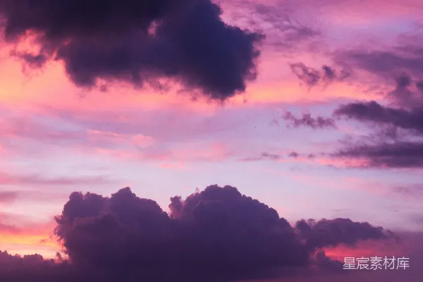 高清摄影 夕阳下树影的轮廓图象在阴云之间