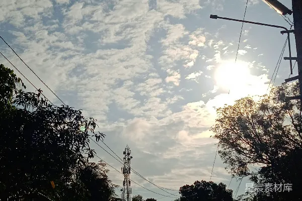 高清摄影 有树和电线的路
