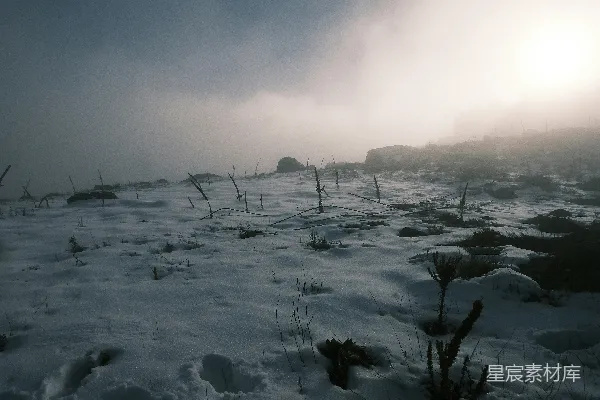 高清摄影 一片被白雪覆盖的天空下是一片田野。