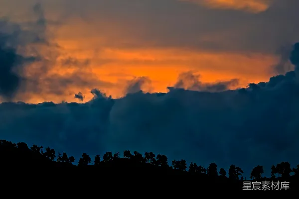高清摄影 夕阳下的树影轮廓
