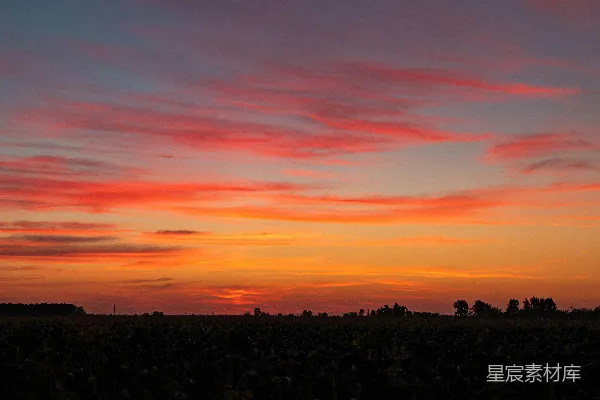 高清摄影 夕阳落下一片农田。