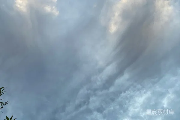 高清摄影 白天绿树下的白云蓝天