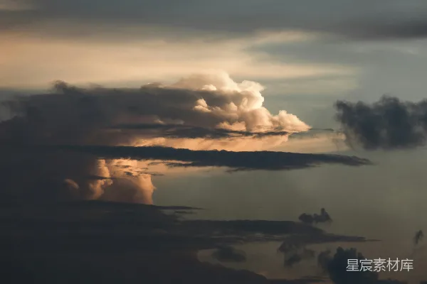 高清摄影 白天树影下的云层中的轮廓