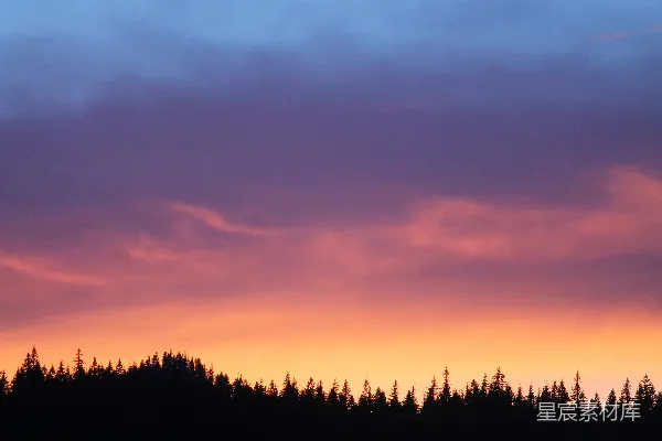 高清摄影 夕阳下橙蓝天空中树木的轮廓