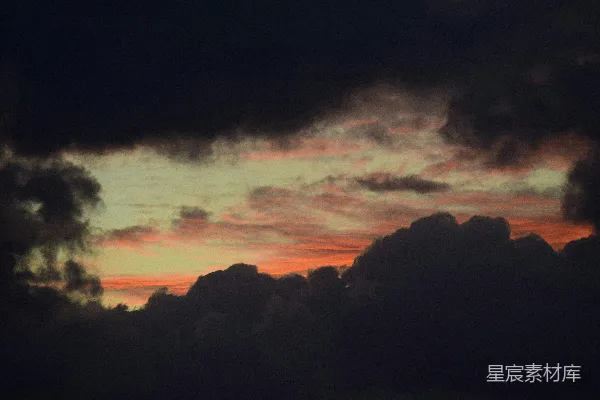 高清摄影 夕阳下的树影轮廓