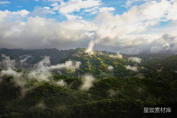 高清摄影 云雾缭绕的山峦和蓝天下的树木
