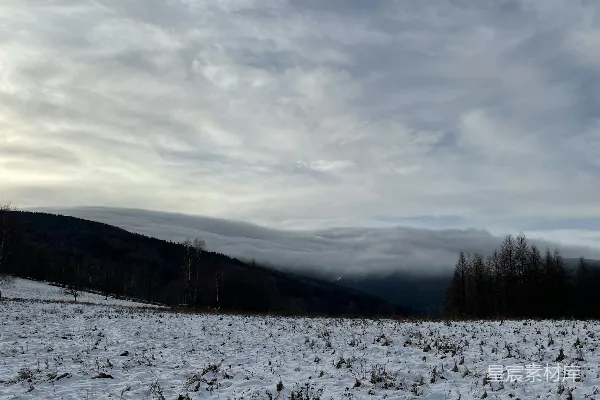高清摄影 覆盖着白雪的田野，远处是树木。