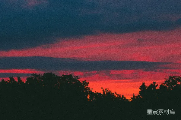 高清摄影 夕阳下的树影轮廓
