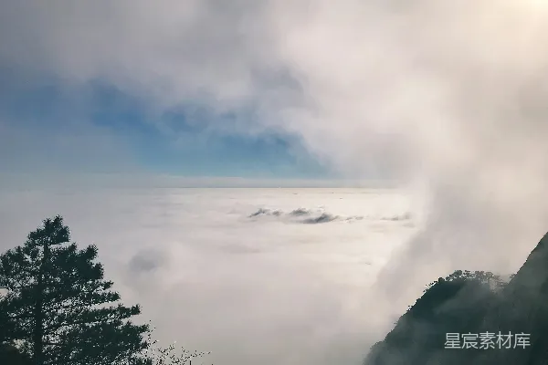 高清摄影 云海与松林之海