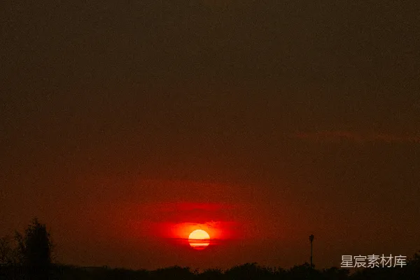 高清摄影 夕阳下树的轮廓