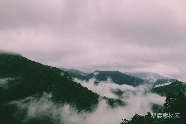 高清摄影 山中绿树映衬着白云缭绕
