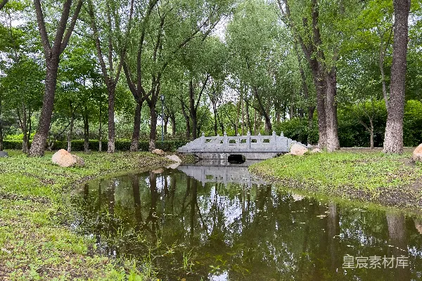 高清摄影 桥跨过一片被树木环绕的水体