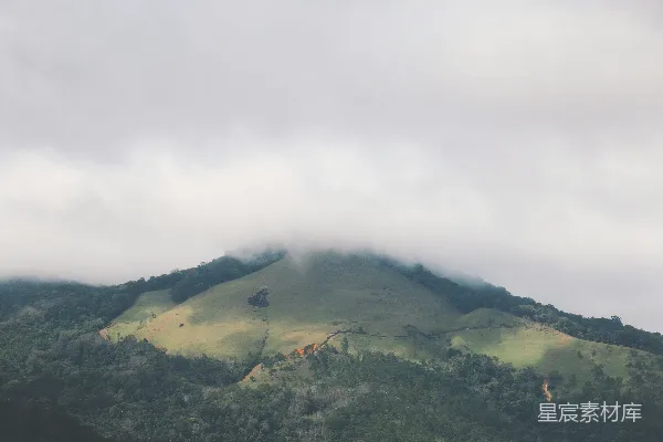 高清摄影 云雾缭绕的山林中的一个阴天景象