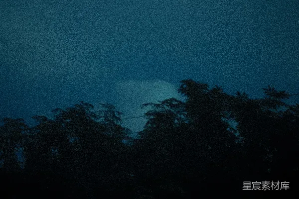 高清摄影 暗树矗立在一片暴风雨般的深蓝天空中