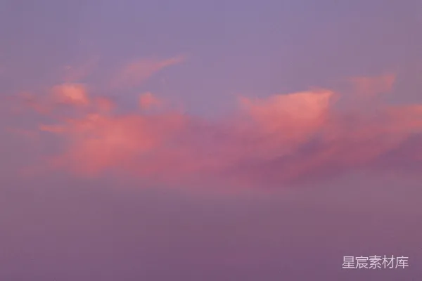 高清摄影 空中飞鸟的背景是一片粉色的云朵。