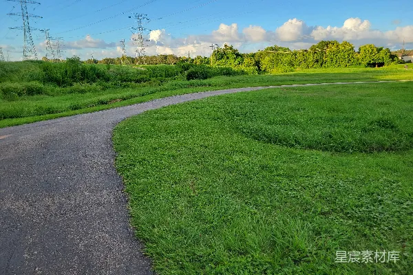 高清摄影 路边有草和树的道路
