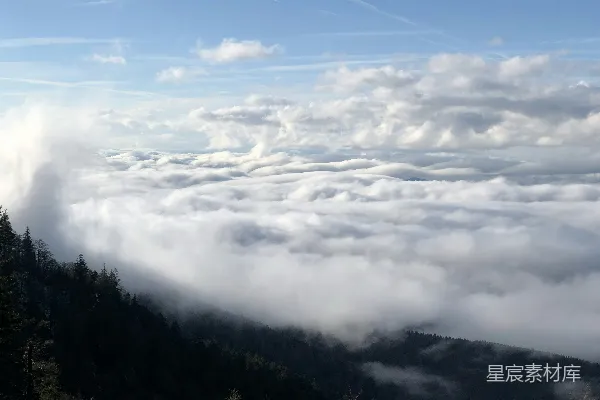 高清摄影 白云靠近树丛中的白天景色