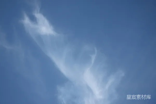高清摄影 一架飞机在蓝天白云间飞行
