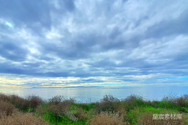高清摄影 背景有一片草地和一片水域的场景。