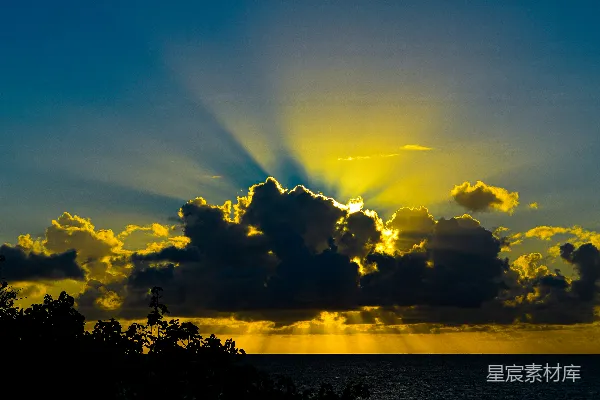 高清摄影 夕阳下树影近处的水面