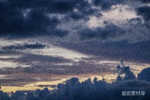 高清摄影 夕阳下云层间的树影轮廓