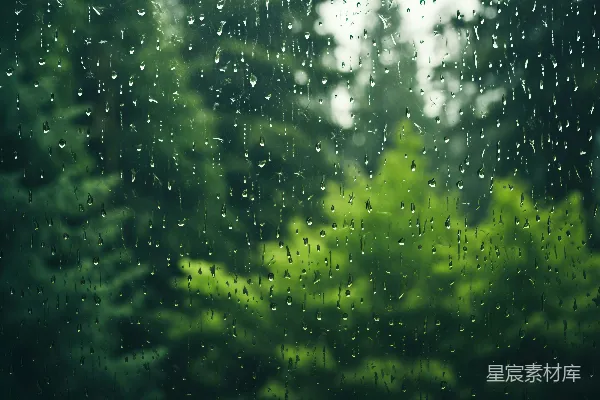 高清摄影 背景中有树木的一扇湿透了的窗户。