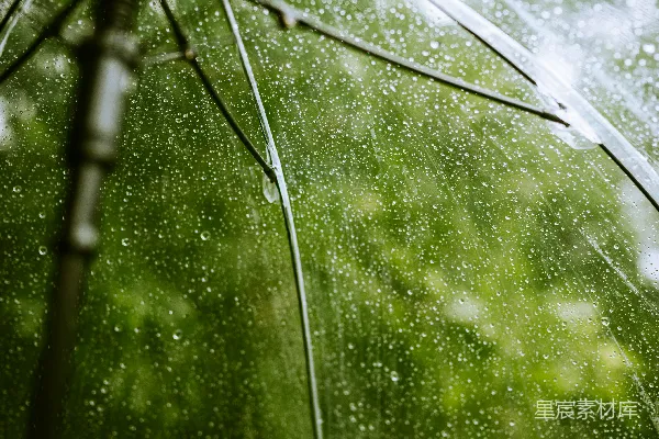 高清摄影 蜘蛛网上的水汽凝结