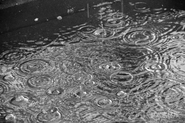 高清摄影 黑白照片中雨滴落在水洼里的景象