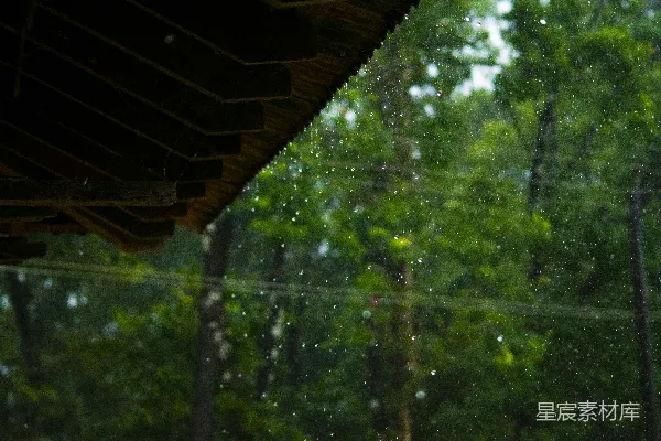 高清摄影 透过蒙上雨水的窗户看去的一片森林