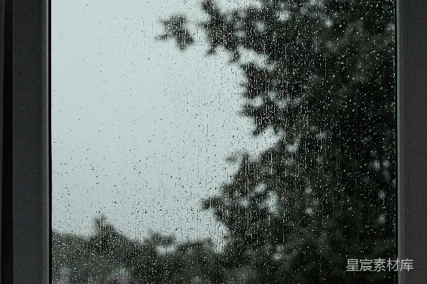 高清摄影 窗外有一棵树的窗户
