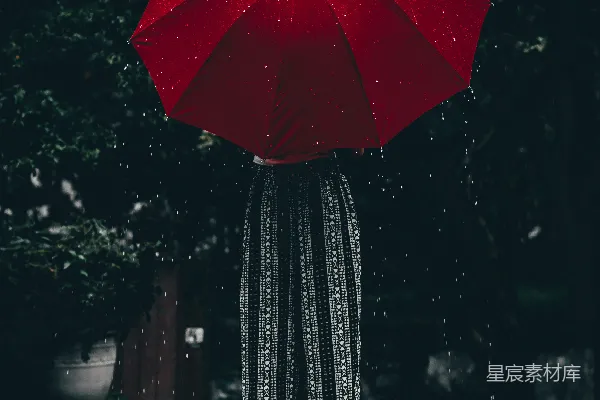 高清摄影 妇女手持红色雨伞站在树旁白天 photographs