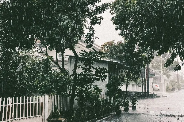 高清摄影 一条被淹没的街道，旁边立着一排白色栅栏和树木